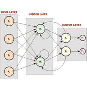 Handling knowledge by emulating the brain